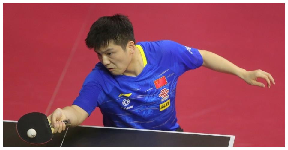 樊振东在比 樊振东在比