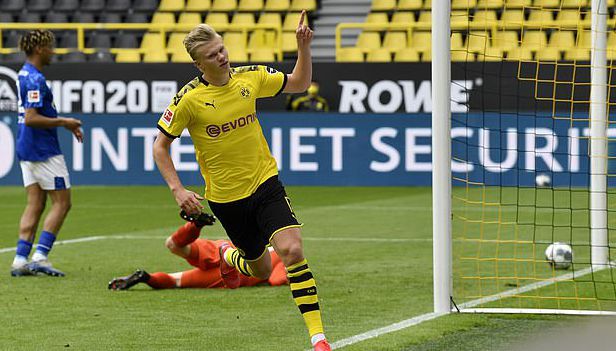 不仅因为他 不仅因为他