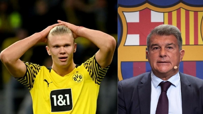 析都显示 析都显示