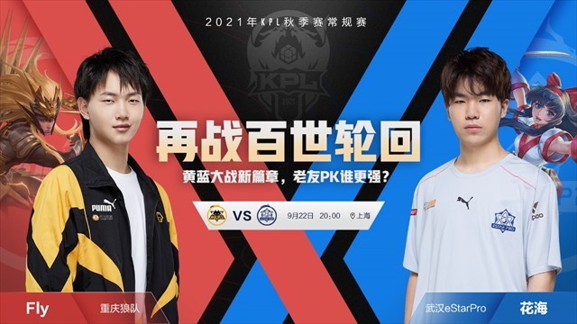 层级的多样